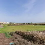 Bayline Xxvi