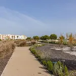 Bayline Xxvi